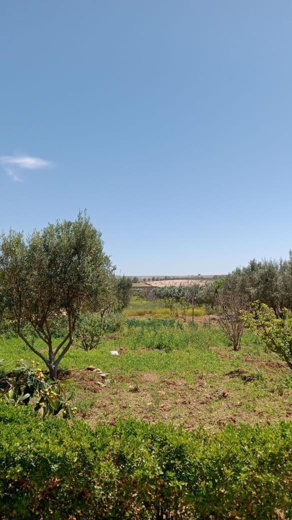 Ferme De Rayan Villa Safi Exteriör bild